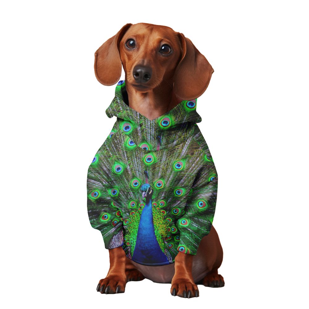 The Peacock, Dog Hoodie