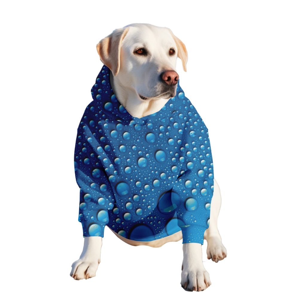 The Rain, Dog Hoodie