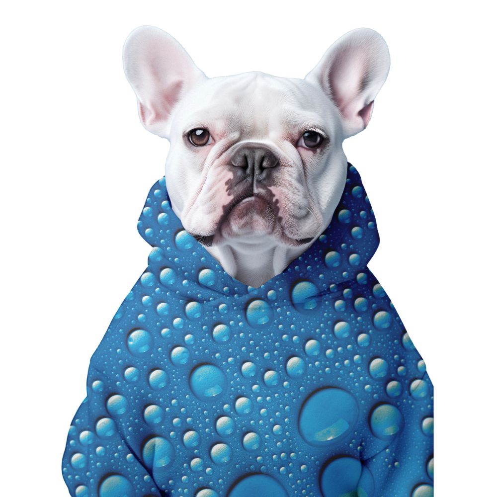 The Rain, Dog Hoodie