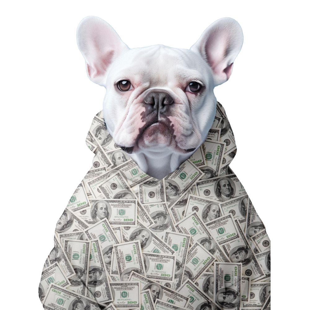 The Benjamins, Dog Hoodie